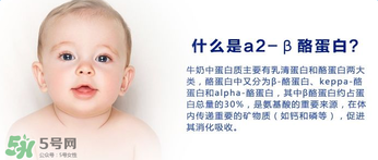 A2奶粉分幾種？A2奶粉有幾個種類？