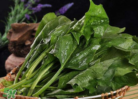 香椿和菠菜能一起吃嗎？香椿和菠菜能一起吃好嗎？