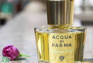 帕爾瑪之水是什么牌子？帕爾瑪之水是什么檔次？