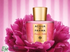 帕爾瑪之水是什么牌子？帕爾瑪之水是什么檔次？