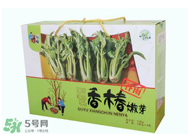 香椿能泡茶嗎？香椿茶的功效與作用