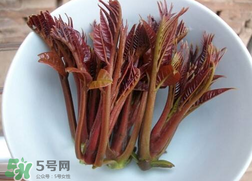 香椿和雞肉可同吃嗎？香椿和雞肉能一起吃嗎？