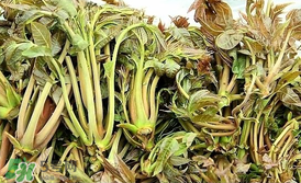 香椿和平菇能一起吃嗎？香椿和香菇能一起吃嗎？