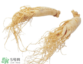 孕婦能吃人參嗎？孕婦可以吃人參嗎？