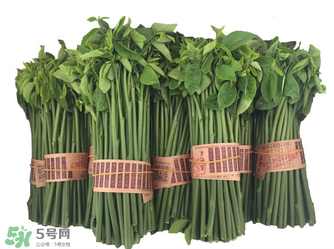 樹仔菜有毒嗎？樹仔菜有沒有毒？