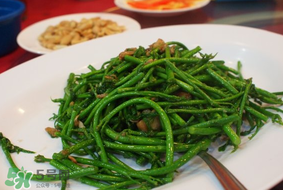 樹仔菜有毒嗎？樹仔菜有沒有毒？