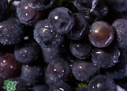 歐緹麗和雅漾哪個好？歐緹麗和雅漾哪個高端？