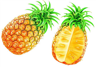 孕婦為什么不能吃菠蘿？孕婦不能吃菠蘿的原因