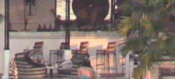 白百合出軌了嗎？白百合陳羽凡離婚了嗎？