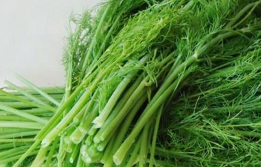 茴香苗怎么吃？茴香苗的吃法