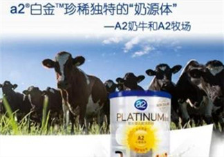 A2奶粉分白金和鉑金嗎？A2奶粉白金鉑金有區(qū)別嗎？
