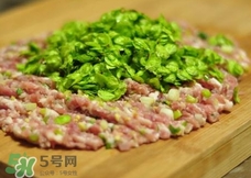 榆錢可以包餃子嗎?榆錢包餃子的做法 榆錢可以包餃子嗎?榆錢包餃子的做法