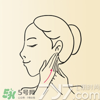 雅頓時(shí)空膠囊怎么用？伊麗莎白雅頓時(shí)空膠囊使用方法