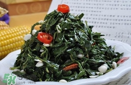 苦菜對人有什么好處？苦菜有什么功效