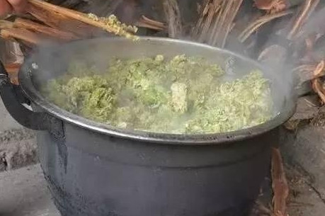 榆錢怎么蒸？蒸榆錢的做法