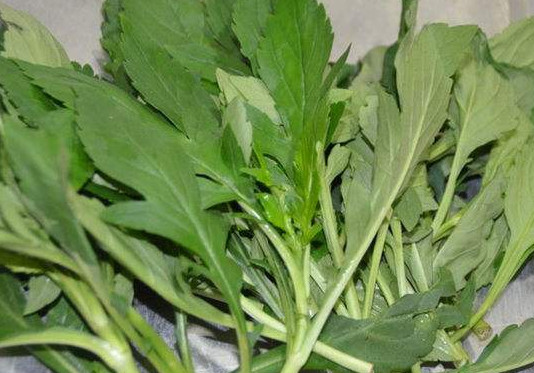 苦苣怎么做好吃？苦苣怎么吃好吃