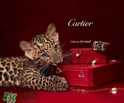 卡地亞是什么材質(zhì)？卡地亞是金的嗎？