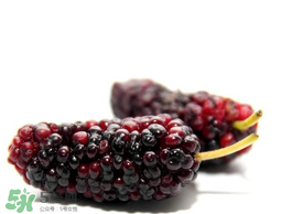 桑葚可以冷凍嗎？桑葚能冷凍保存嗎？