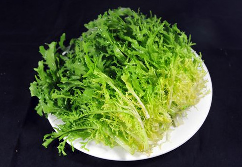 孕婦能吃苦苣嗎？孕婦可以吃苦苣嗎