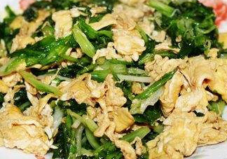 苦苣能和雞蛋一起吃嗎？苦苣能炒雞蛋嗎