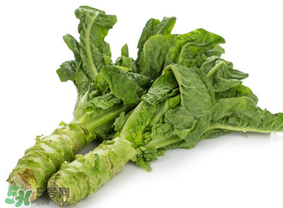 萵筍為什么會(huì)苦？萵筍苦能吃嗎？