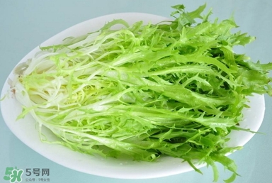 苦苣根哪里有賣？苦苣根茶在那里買的到