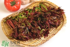 香椿葉能吃嗎？香椿葉孕婦能吃嗎？