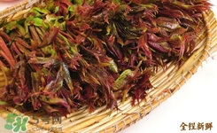 香椿葉能吃嗎？香椿葉孕婦能吃嗎？