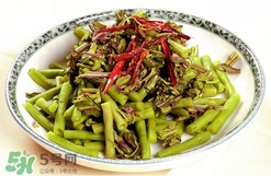 香椿葉能吃嗎？香椿葉孕婦能吃嗎？