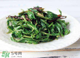 香椿和芹菜能一起吃嗎？香椿可以和芹菜同吃嗎？