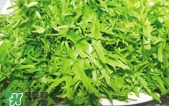 痛風(fēng)能吃苦菊嗎？苦菊痛風(fēng)人可以吃嗎