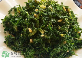 薺菜和香椿能一起吃嗎？薺菜和香椿一起吃好嗎？