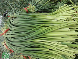 蒜苔可以和西紅柿一起吃嗎？蒜苔和西紅柿能同吃嗎？