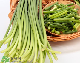 蒜苔能放在冰箱里嗎？蒜苔能在冰箱放幾天？