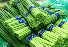 蒜苔能放在冰箱里嗎？蒜苔能在冰箱放幾天？