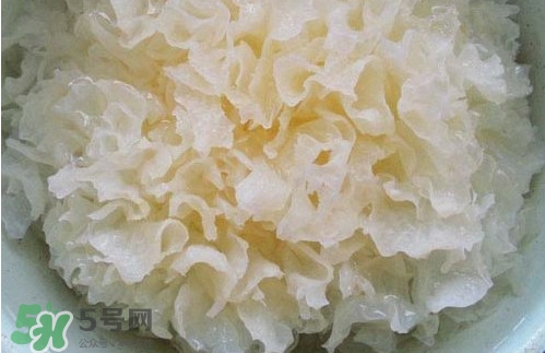 苦菊能和木耳一起吃嗎？苦菊能和黑木耳一起吃嗎