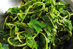 香椿和薄荷能一起吃嗎？香椿和薄荷一起吃會中毒嗎？