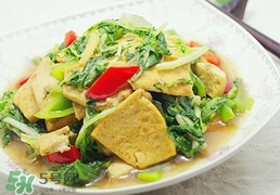 苦菊能和豆腐一起吃嗎？苦菊可以和豆腐一起吃嗎