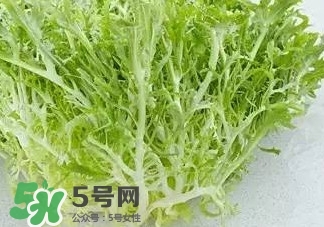 苦菊能和羊肉一起吃嗎？苦菊可以和羊肉一起吃嗎