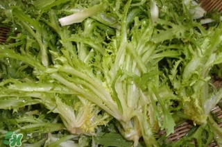 苦菊苦嗎？苦菊苦不苦