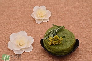 鼠曲草的功效與作用 鼠曲草怎么吃 鼠曲草的功效與作用 鼠曲草怎么吃