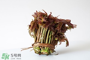 香椿樹(shù)什么時(shí)候發(fā)芽？香椿樹(shù)什么時(shí)候種植