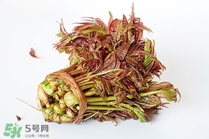香椿樹(shù)什么時(shí)候發(fā)芽？香椿樹(shù)什么時(shí)候種植