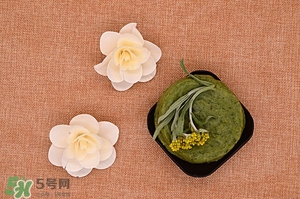 鼠曲草的功效與作用 鼠曲草怎么吃 鼠曲草的功效與作用 鼠曲草怎么吃