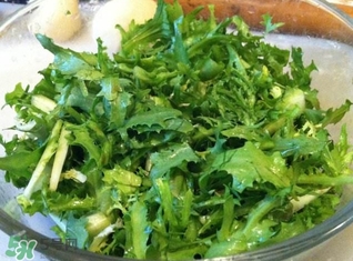 苦菊能炒嗎？苦菊能炒著吃嗎