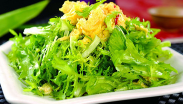 苦菊能和雞蛋一起吃嗎？苦菊可以和雞蛋一起吃嗎