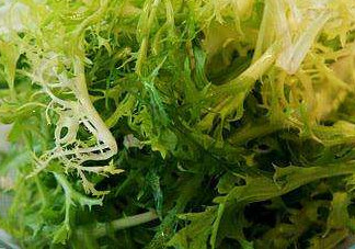 痛風(fēng)能吃苦菊嗎？苦菊痛風(fēng)人可以吃嗎