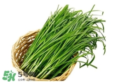 苦菊能和韭菜一起吃嗎？苦菊可以和韭菜一起吃嗎