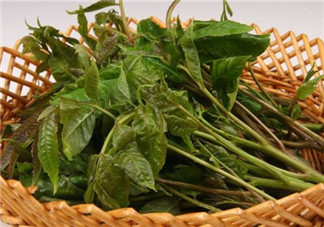 香椿葉怎么吃？香椿葉的吃法