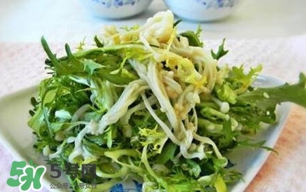 苦菊用不用焯水？涼拌苦菊用開水焯水嗎